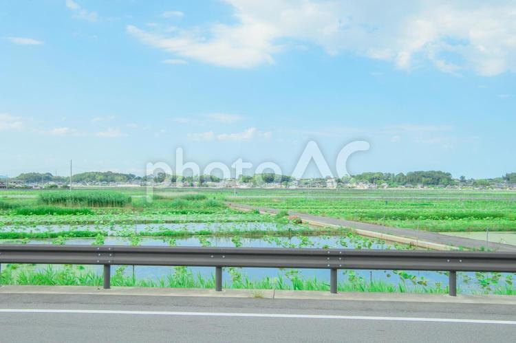 日本の田舎　素材 イメージ 田舎,田んぼ,水田の写真素材