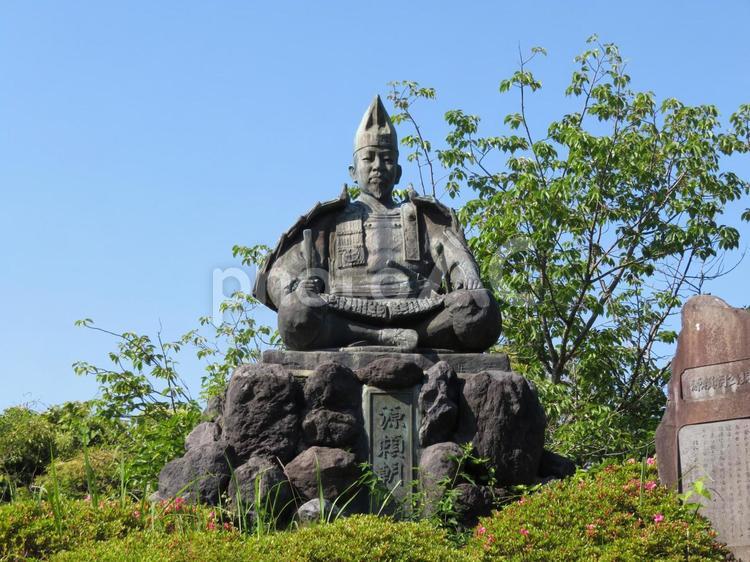 ５月下旬・初夏の源頼朝公坐像 銅像,坐像,源頼朝公の写真素材