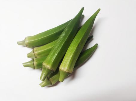 オクラ コピースペースあり オクラ コピースペースあり オクラ,おくら,野菜の写真素材