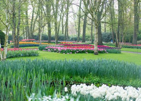Photo, キ ュ ー ケ ン ホ フ park, netherlands, amsterdam, 