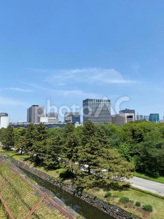 江戸城・展望台からの眺め 江戸,皇居,江戸城の写真素材