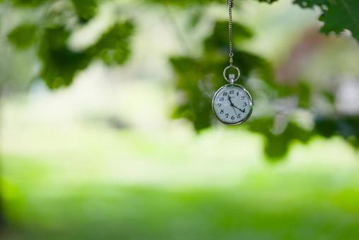 懐中時計と森 懐中時計と森 懐中時計,時計,森の写真素材