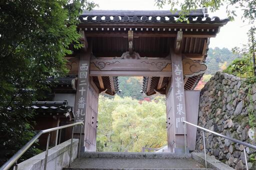 善峯寺　東門 善峯寺,東門,よしみねでらの写真素材