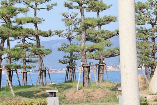 高松港の風景 高松港の風景 高松港,海,港の写真素材