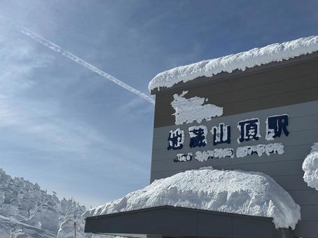 蔵王 樹氷 地蔵山頂駅 樹氷,地蔵山頂駅,蔵王の写真素材
