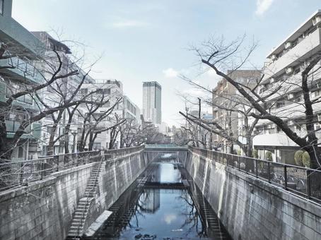目黒川 目黒川 目黒川,中目黒,目黒区の写真素材