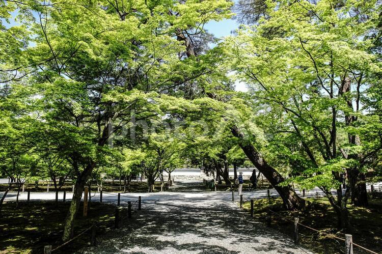 南禅寺の風景 京都,日本,アジアの写真素材