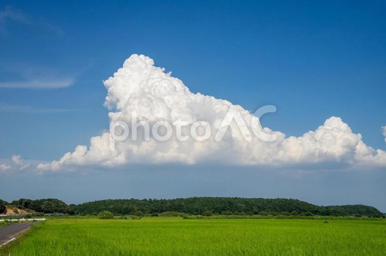 田園風景 田園風景,田舎,田舎暮らしの写真素材