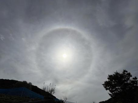 太陽の輪(ハロ現象) 太陽の輪(ハロ現象) 太陽,ハロ,日暈の写真素材