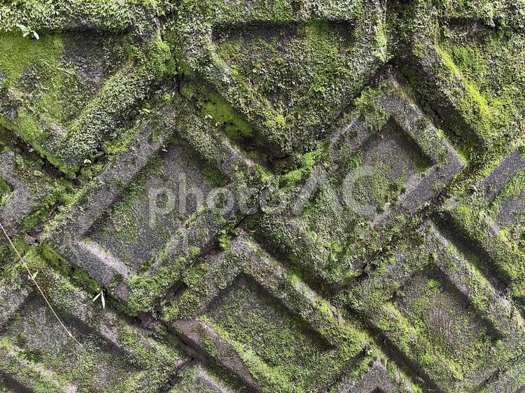 苔むす壁　その1 苔,苔むす,ブロック壁の写真素材