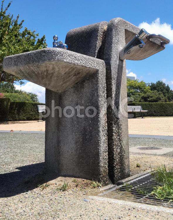 公園のオアシス 水飲み場,水場,水道の写真素材