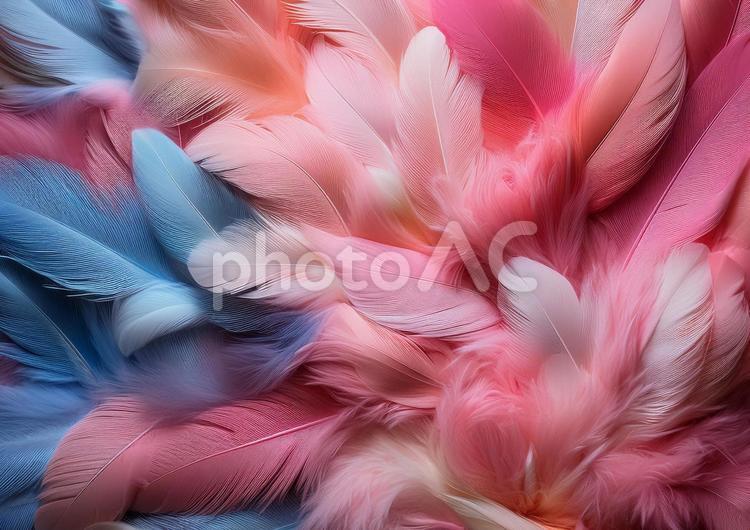 鮮やかな羽の背景 羽,カラフル,絨毯の写真素材