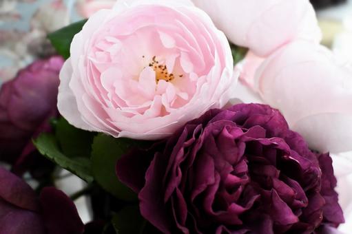 バラ バラ バラ,花束,華やかの写真素材