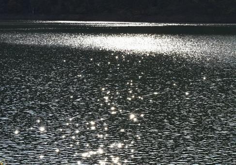 眩しい湖面の反射 湖面,まぶしい,反射の写真素材