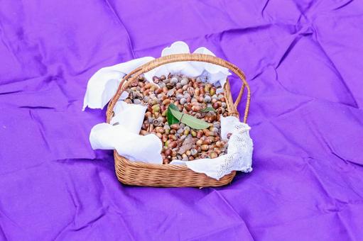 ドングリのかご盛り ドングリ,かご,紫の写真素材