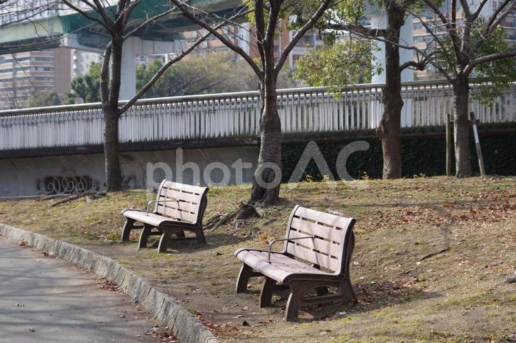 冬の夕日の中のベンチ ベンチ,冬,夕陽の写真素材