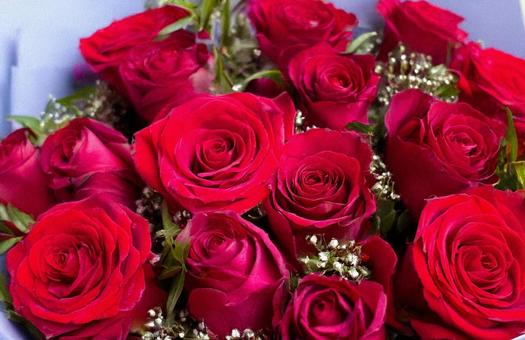 薔薇の花束 薔薇の花束の写真