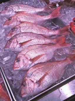 魚屋さんの鯛 たい,魚屋,魚介類の写真素材