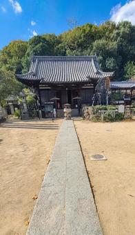 尾道市 西国寺の境内 尾道市 西国寺の境内の写真