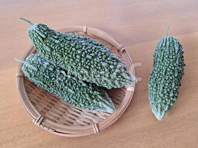 採れたて夏野菜ゴーヤのザル盛_7 夏野菜,野菜,ゴーヤの写真素材