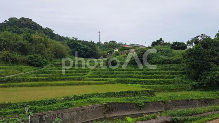 棚田と山の風景 諫早市,飯盛,田舎の写真素材