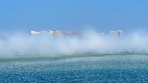 Photo, summer, kasai rinkai park, gesi linhai aquarium, 