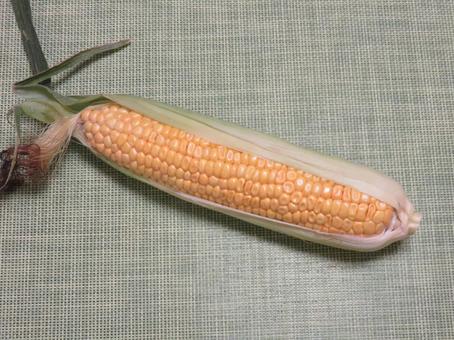 トウモロコシ トウモロコシ トウモロコシ,玉蜀黍,食材の写真素材