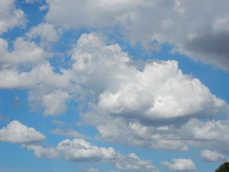 【風景写真】夏空の写真