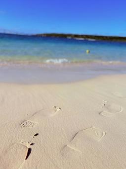 海と足跡 海,浜辺,足跡の写真素材