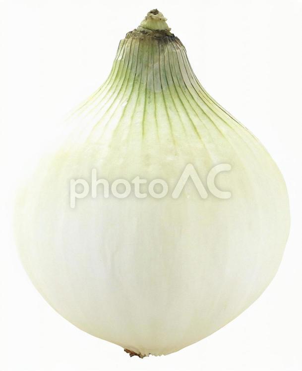 新玉ねぎ（PSD切抜用パス付） 新玉ねぎ,新たまねぎ,玉ねぎの写真素材