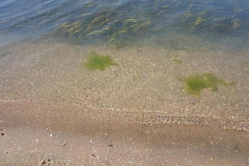 海 海の写真