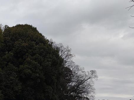 曇りの日1 曇りの日1の写真
