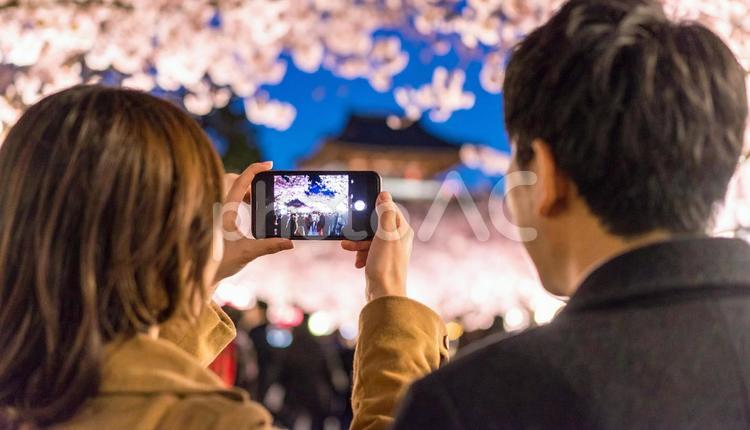 動画撮影をする男女のカップル 動画撮影,春,旅行者の写真素材