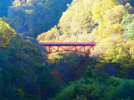 紅葉・松川渓谷高井橋 紅葉・松川渓谷高井橋 紅葉,松川,渓谷の写真素材