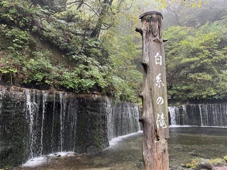 白糸の滝 白糸の滝,滝,観光地の写真素材