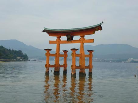 宮島 宮島 宮島,広島,風景の写真素材