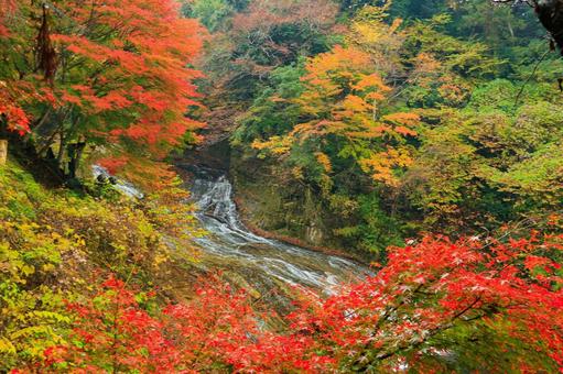 養老渓谷 養老渓谷,粟又の滝,滝の写真素材