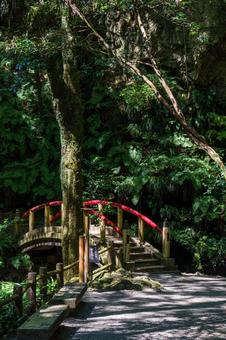 森の小川を渡る赤い橋のある風景 風景,観光地,日本の写真素材