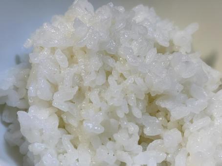 白ごはん 米,コメ,白ごはんの写真素材