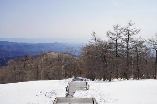 雪に覆われた遊歩道 冬,雪,風景の写真素材