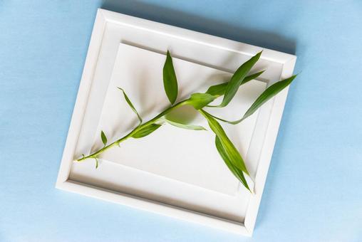 白い額縁に植物が乗っている(水色背景) 白い額縁に植物が乗っている(水色背景) モックアップ,物撮り,フレームの写真素材