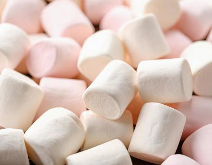 マシュマロ マシュマロの写真
