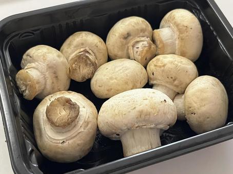 マッシュルーム マッシュルーム 食べ物,食材,きのこの写真素材