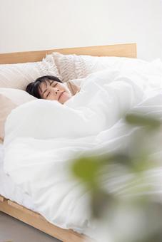 寝ている女性　30代 女性,ミドル,睡眠の写真素材