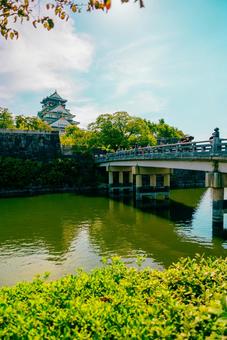 【大阪】大阪城の雰囲気 大阪城,公園,大阪城公園の写真素材