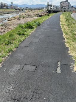 川沿い散歩 川沿い散歩の写真