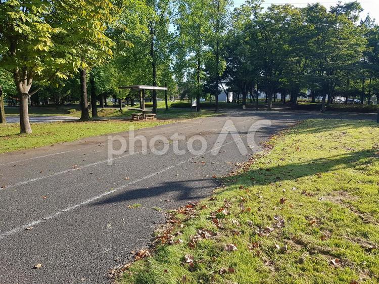 公園 休日,散歩,緑の写真素材