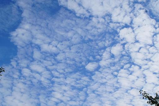 秋の空 秋の空の写真
