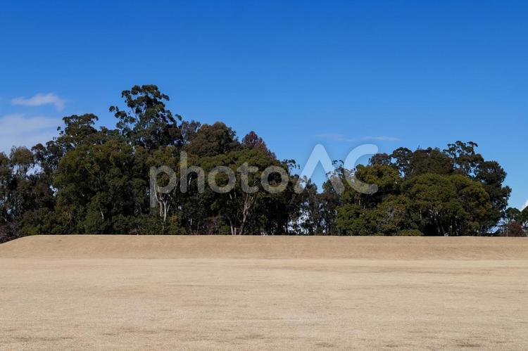 夢の島公園　アーチェリー場 夢の島公園,アーチェリー場,夢の島の写真素材
