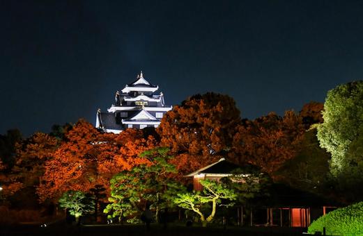 ライトアップされた岡山城天守閣 ライトアップされた岡山城天守閣 岡山城,岡山後楽園,ライトアップの写真素材